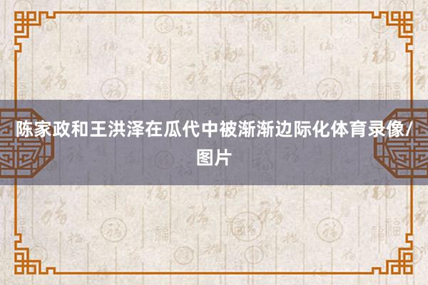 陈家政和王洪泽在瓜代中被渐渐边际化体育录像/图片