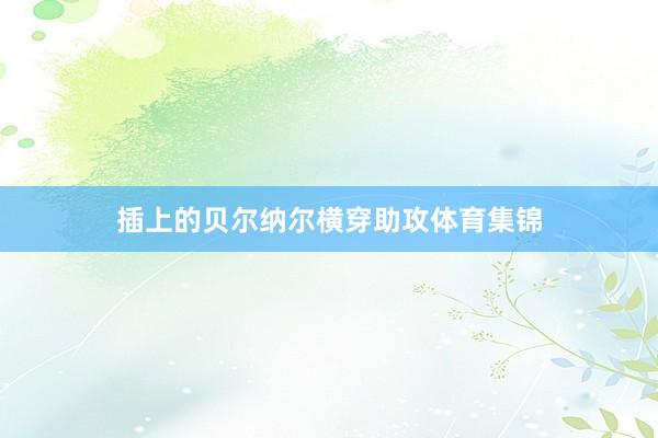 插上的贝尔纳尔横穿助攻体育集锦