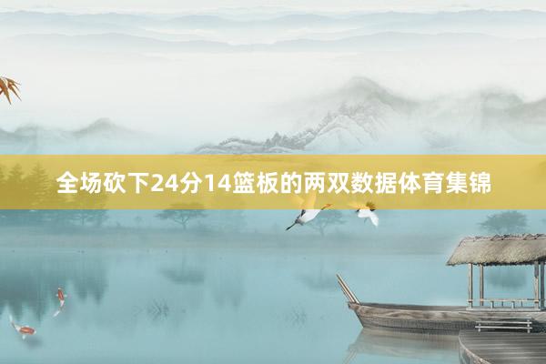 全场砍下24分14篮板的两双数据体育集锦