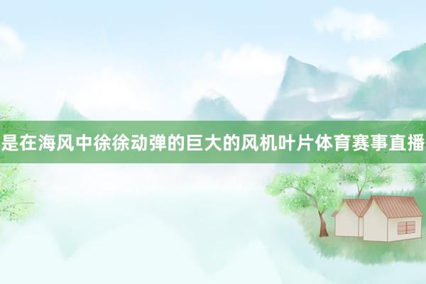 是在海风中徐徐动弹的巨大的风机叶片体育赛事直播
