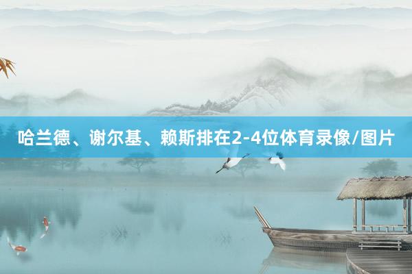 哈兰德、谢尔基、赖斯排在2-4位体育录像/图片
